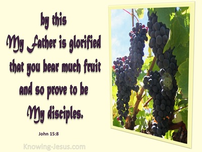 John 15:8 My Father Is Glorified When You Bear Much Fruit (yellow)